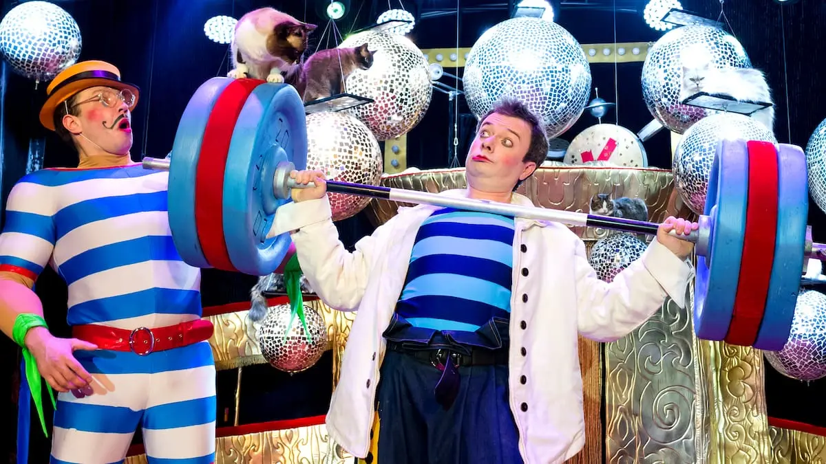 Cats Show. Дмитрий Куклачёв