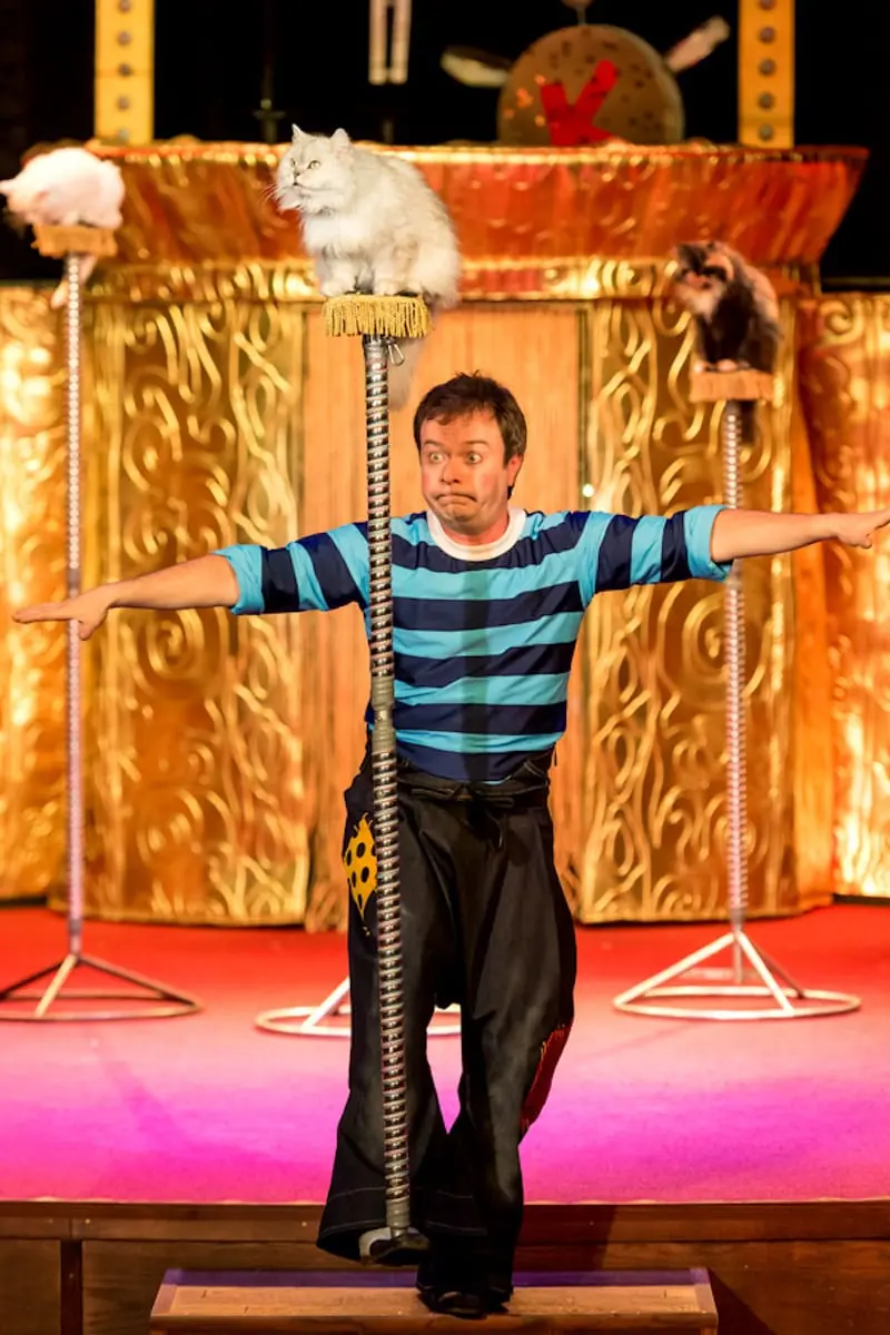Cats Show. Дмитрий Куклачёв