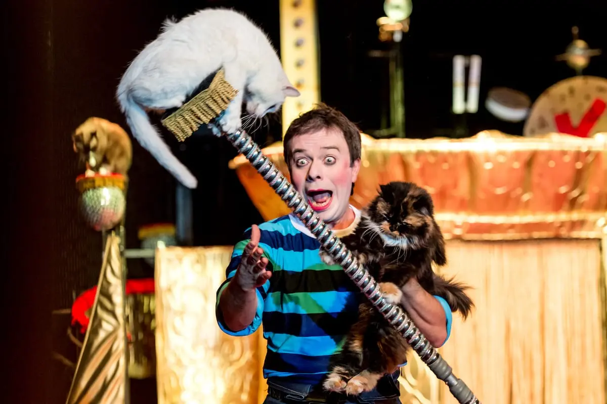 Cats Show. Дмитрий Куклачёв