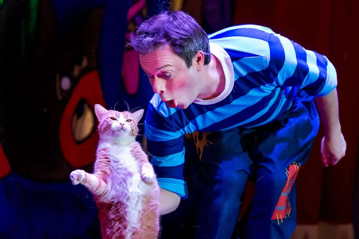 Cats Show. Дмитрий Куклачёв
